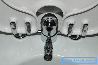 Bidet option Bidet option
