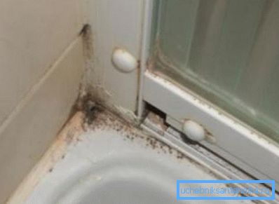 Ubiquitous mold Ubiquitous mold