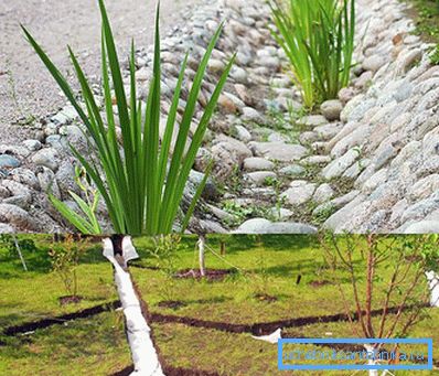 Types of drainage Types of drainage