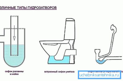 Types of traps Types of traps