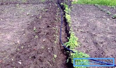 Plumbing of plastic pipes for gardening, which is not dismantled for the winter