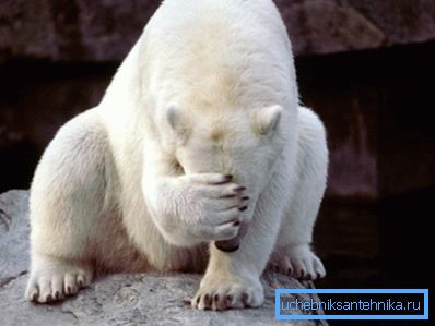 Do you really believe in violation of the law of conservation of energy?