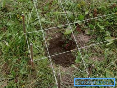 Mark up and dig holes.