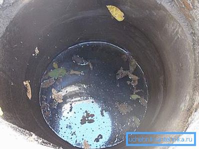Contaminated debris and leaves well. Contaminated debris and leaves well.