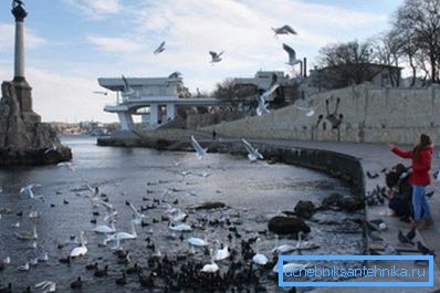 Winter in Sevastopol is not distinguished by severity. Winter in Sevastopol is not distinguished by severity.